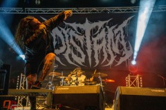 fajtfest_2023-78