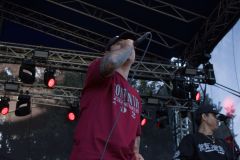 fajtfest_2_2026-84