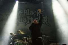 heaven-Shall-Burn_the_black_dahlia_the_halo_effect_frozen_soul_0_0-78