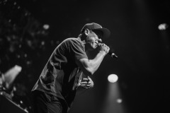 hilltop_hoods_praha2025-26