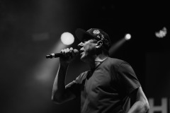 hilltop_hoods_praha2025-4