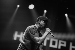 hilltop_hoods_praha2025-42