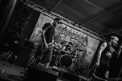 limen_overboard_2026-145