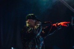mighty_sounds_2019_1-214