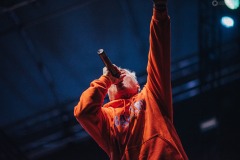 mighty_sounds_2019_1-75