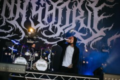 rock_for_people_2025_2-22