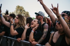 rock_for_people_2025_3-206