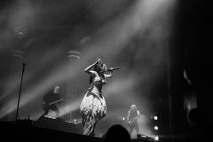 rock_for_people_2026-1129