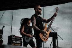 stepfest_2022-0