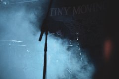 tiny_moving_partseat_your_hear_out_glad_for_today-38